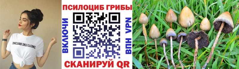 даркнет сайт  Нязепетровск  Псилоцибиновые грибы мухоморы 